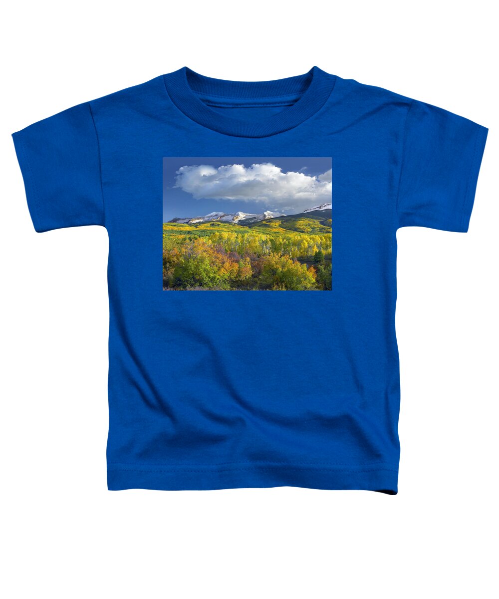 00175174 Toddler T-Shirt featuring the photograph East Beckwith Mountain Flanked By Fall #1 by Tim Fitzharris