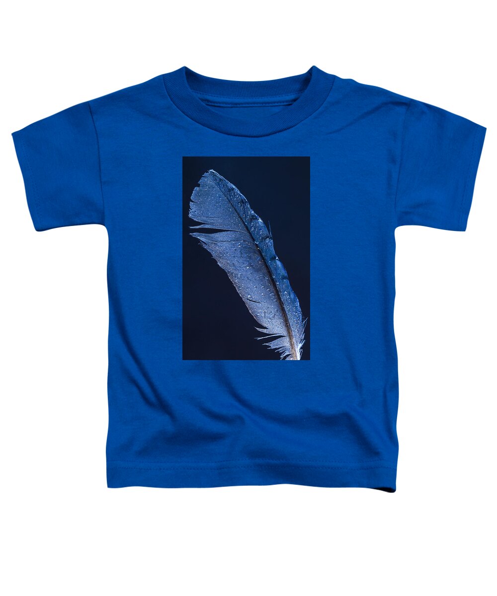 Wet Jay Toddler T-Shirt featuring the photograph Wet Jay by Jean Noren