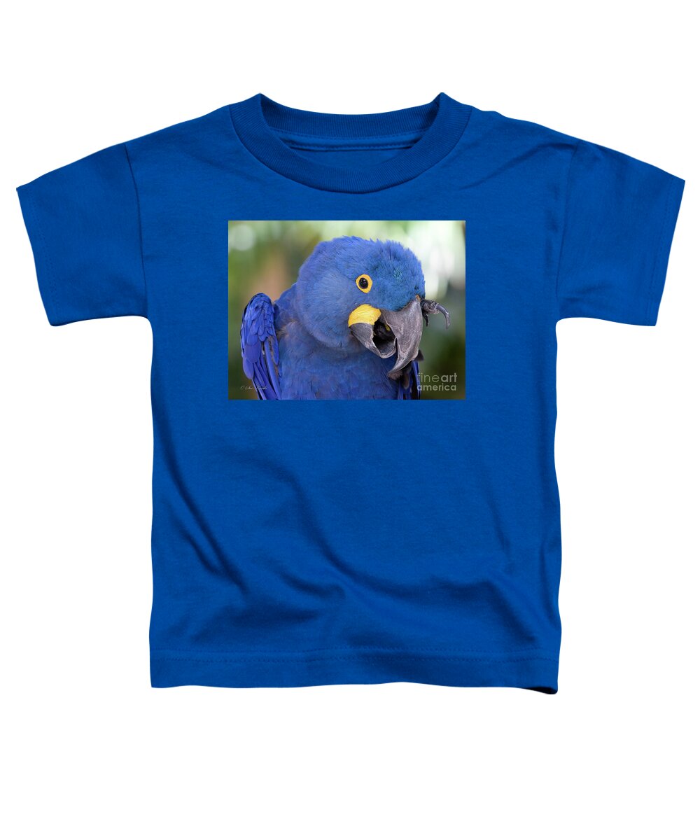Birds Toddler T-Shirt featuring the photograph An itch by Sue Karski