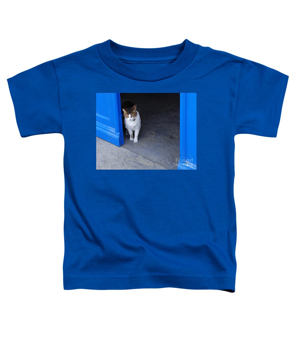 Cat Toddler T-Shirt featuring the photograph Cat At The Doorway by Bob Christopher