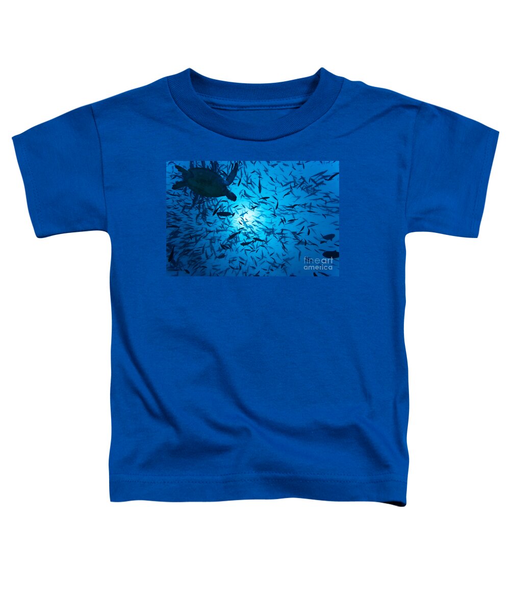 Underwater Toddler T-Shirt featuring the photograph Fishes and turtle by MotHaiBaPhoto Prints