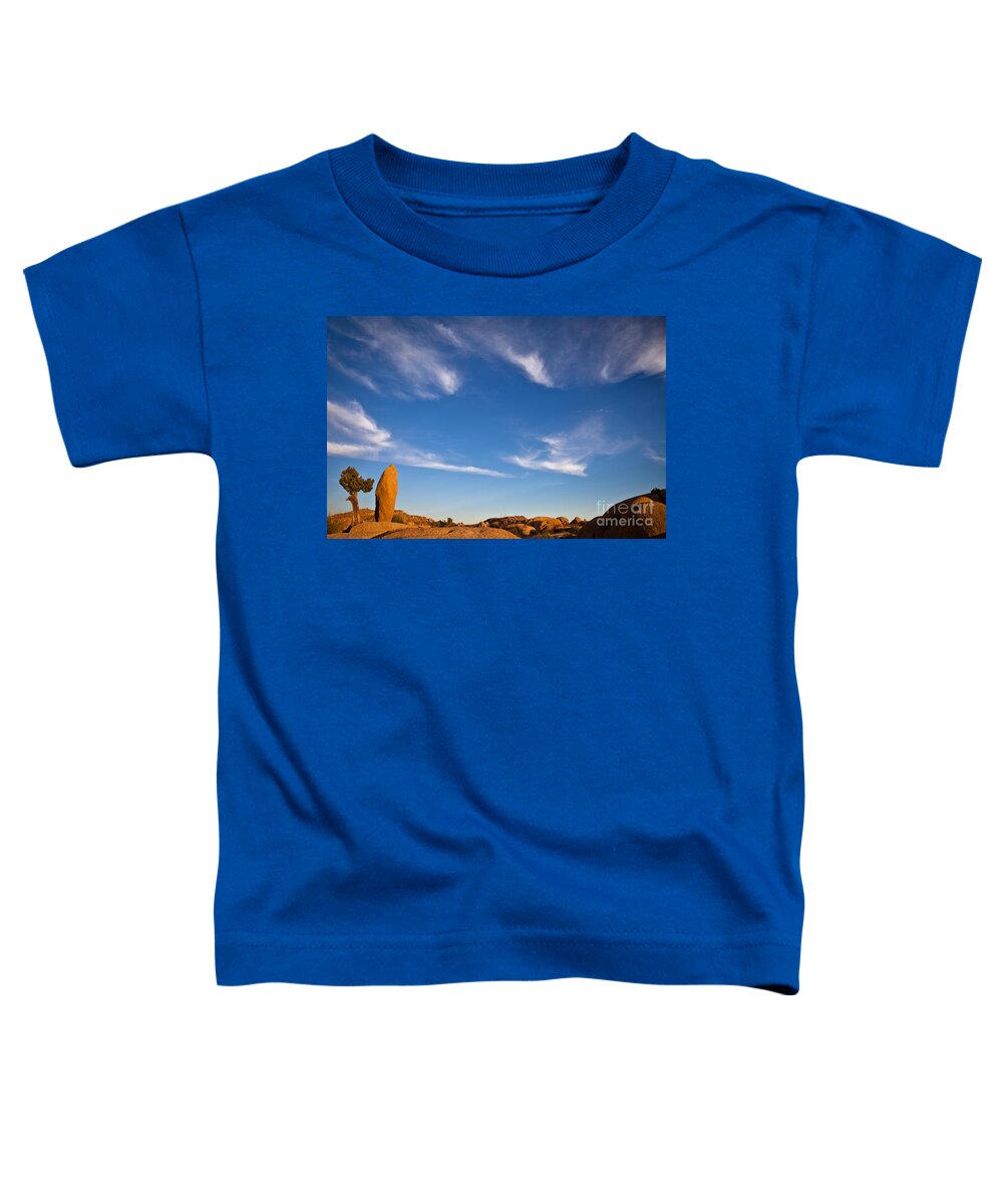 Granite Toddler T-Shirt featuring the photograph Joshua Tree before sunset by Olivier Steiner