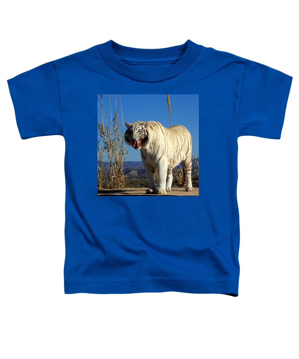 Tiger Toddler T-Shirt featuring the photograph Roar by Kim Galluzzo