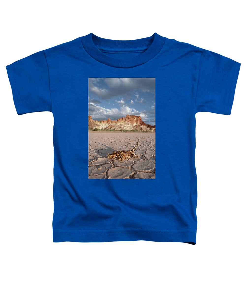 Mp Toddler T-Shirt featuring the photograph Thorny Devil Moloch Horridus Crossing by Gerry Ellis