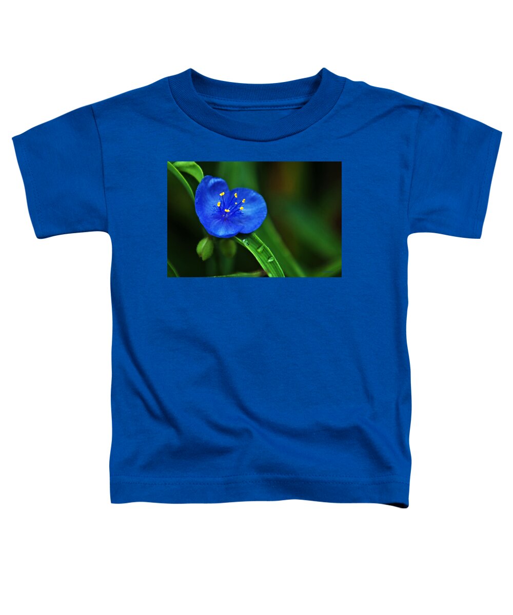 Flowers Toddler T-Shirt featuring the photograph Yellow Blue And Raindrops by Ed Peterson