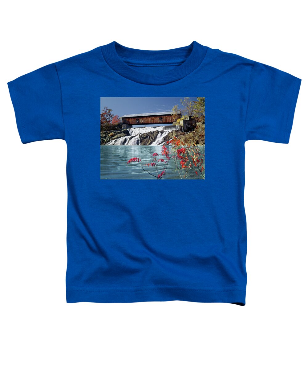 The Willard Toddler T-Shirt featuring the photograph 134202-A The Willard by Ed Cooper Photography