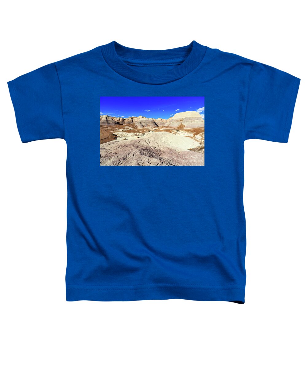 Arizona Toddler T-Shirt featuring the photograph Arizona Petrified Forest #7 by Raul Rodriguez