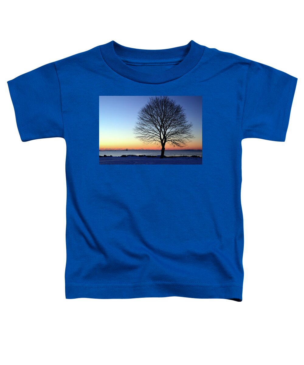 Great Toddler T-Shirt featuring the photograph Bare Tree at Sunrise by James Kirkikis