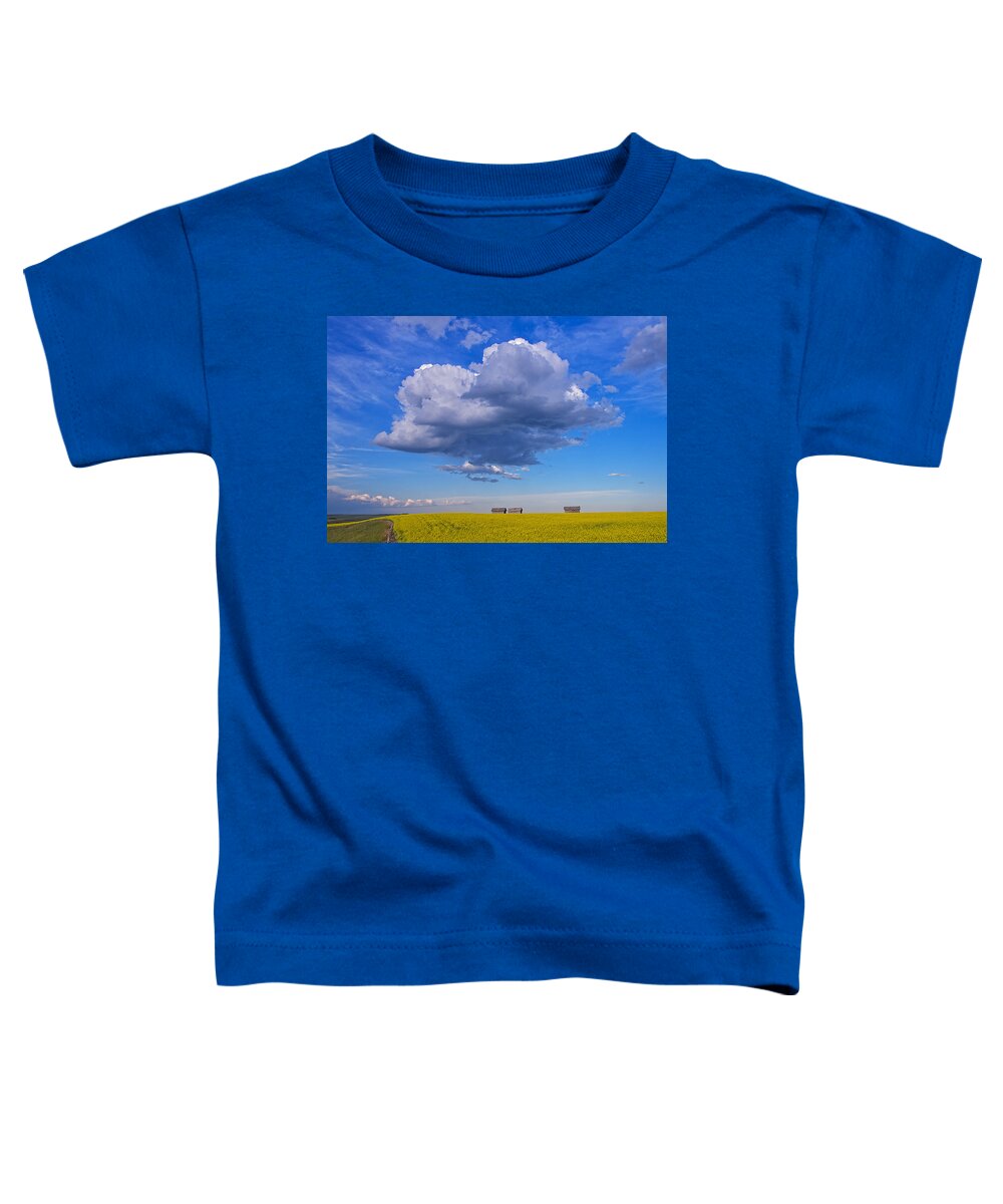 Canola Toddler T-Shirt featuring the photograph Big Clouds by Bill Cubitt