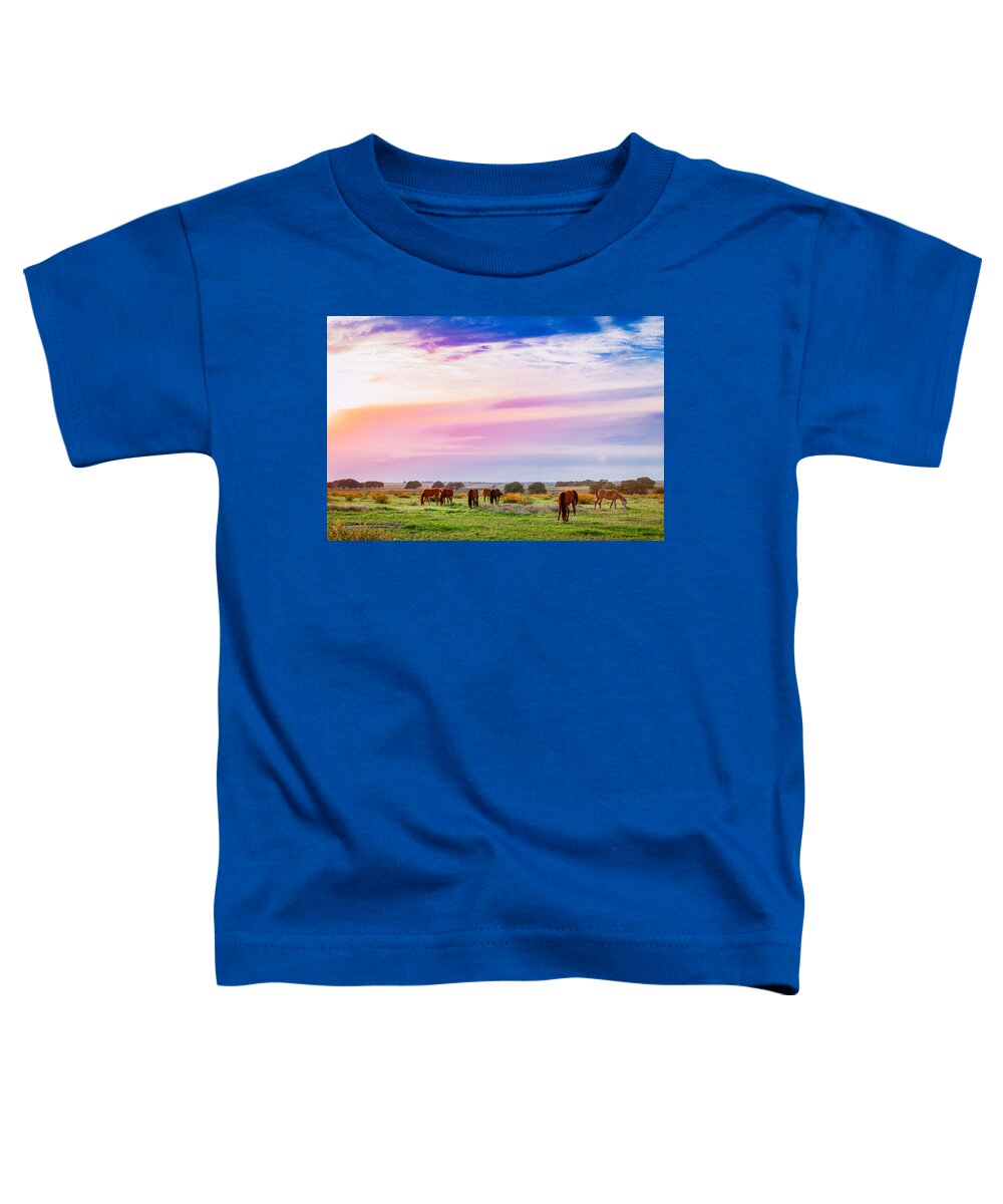 America Toddler T-Shirt featuring the photograph Blazing Sky Diner by Melinda Ledsome