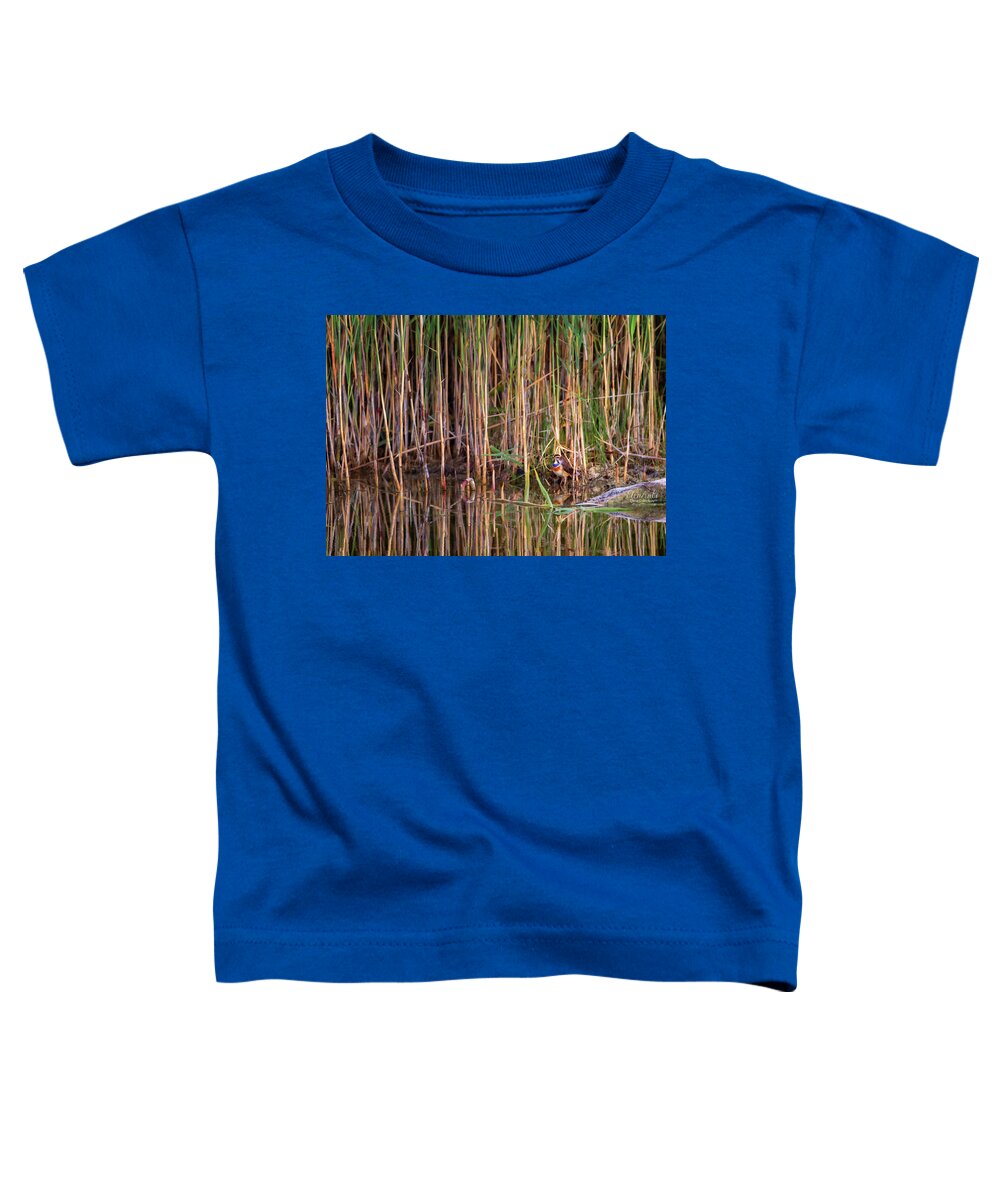 Bluethroat Toddler T-Shirt featuring the photograph Bluethroat, luscinia svecica, bird, Neuchatel lake, Switzerland by Elenarts - Elena Duvernay photo