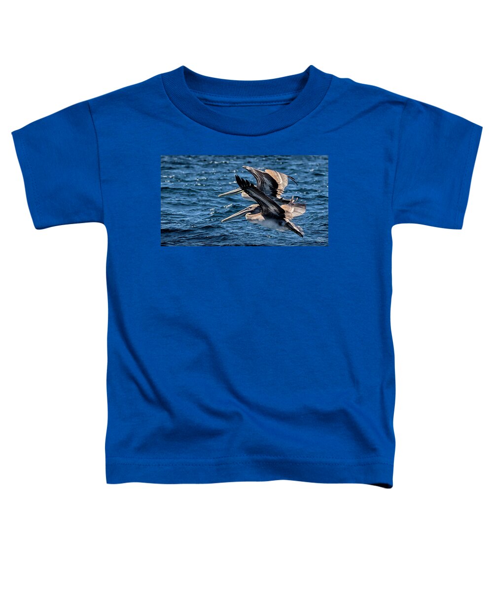 Brown Pelican Toddler T-Shirt featuring the photograph Brown Pelicans by Endre Balogh
