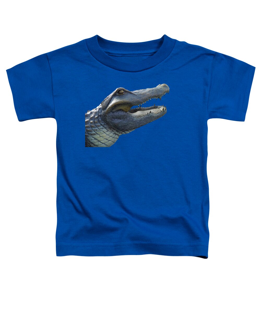The Swamp Toddler T-Shirt featuring the photograph Bull Gator Portrait Transparent For T Shirts by D Hackett