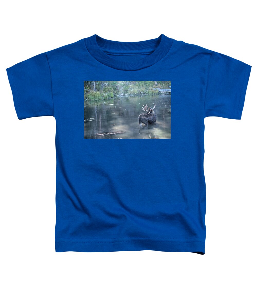 Lake Toddler T-Shirt featuring the photograph Bull Moose Reflection by Marta Alfred