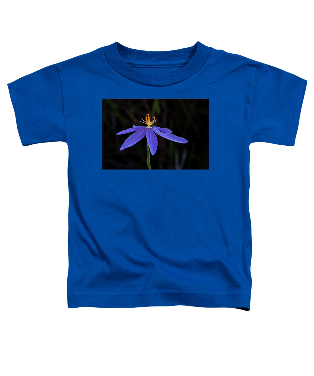 Celestial Lily Toddler T-Shirt featuring the photograph Celestial Lily by Paul Rebmann