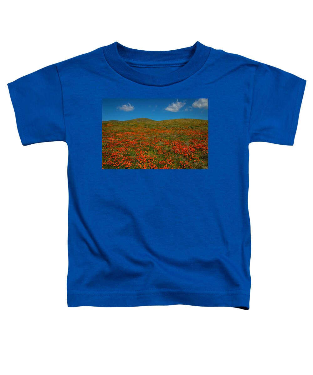 Poppy Toddler T-Shirt featuring the photograph Clouds Above Poppy Field by Garry Gay