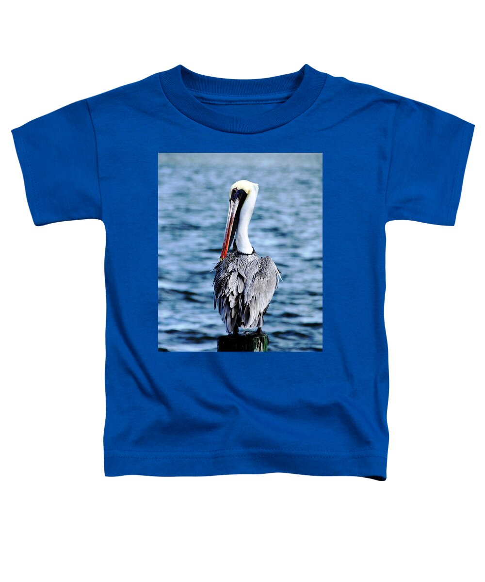 Brown Pelican Toddler T-Shirt featuring the photograph Comically Elegant by Debbie Oppermann