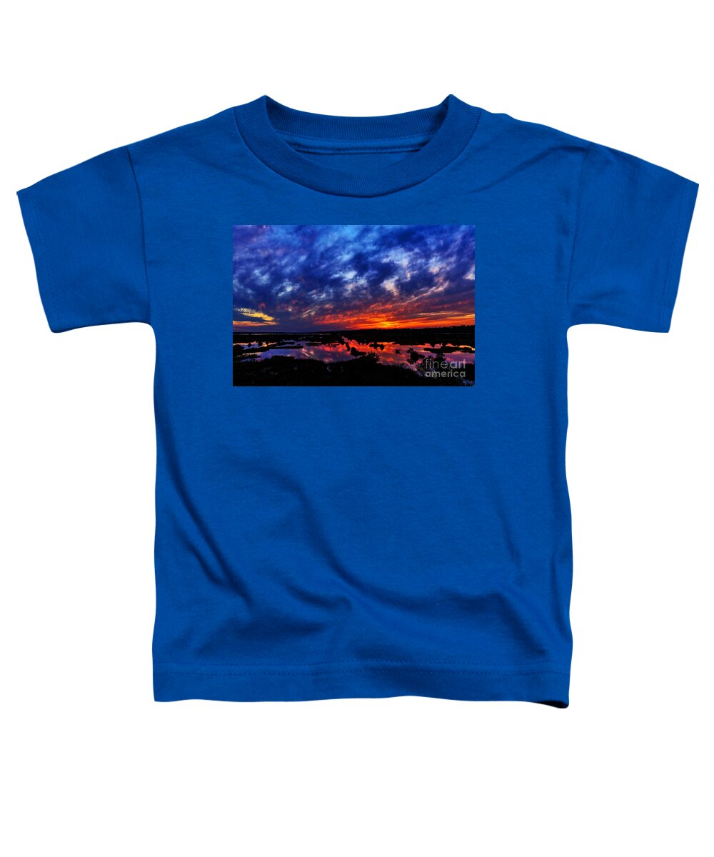 Sunset Toddler T-Shirt featuring the photograph Contrast by DJA Images