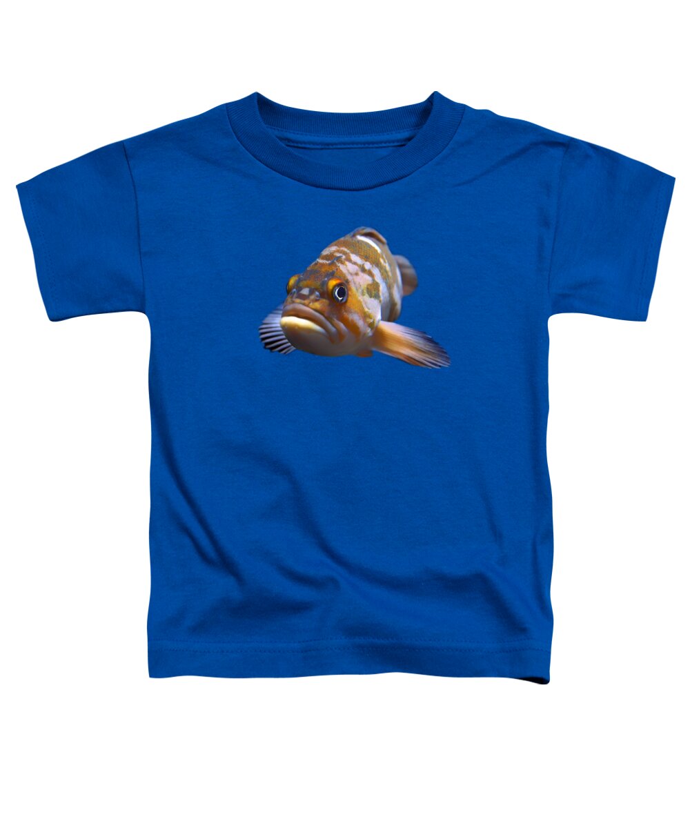 Fish Toddler T-Shirt featuring the photograph Fish - Transparent by Nikolyn McDonald