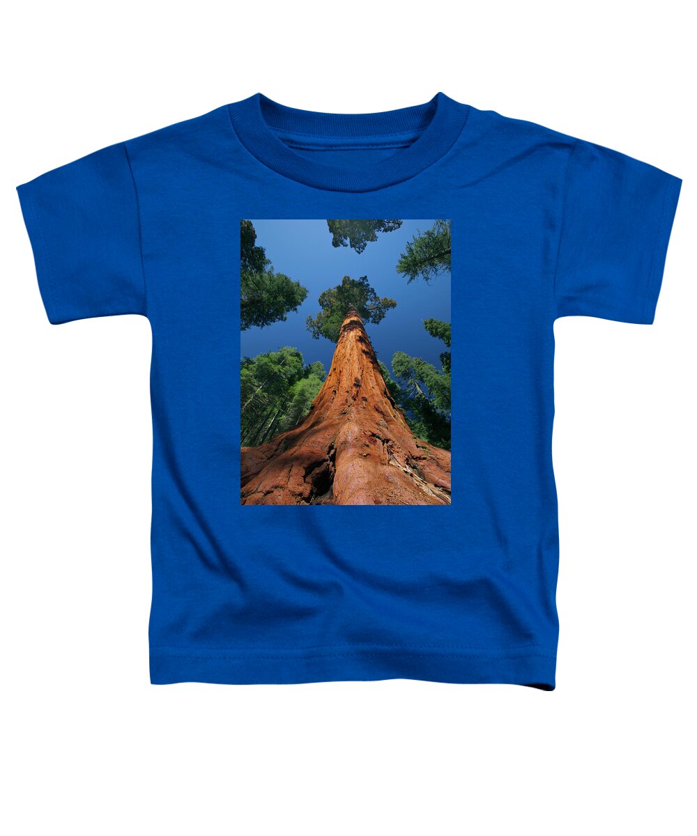 00553424 Toddler T-Shirt featuring the photograph Giant Sequoia in Yosemite by Jeff Foott