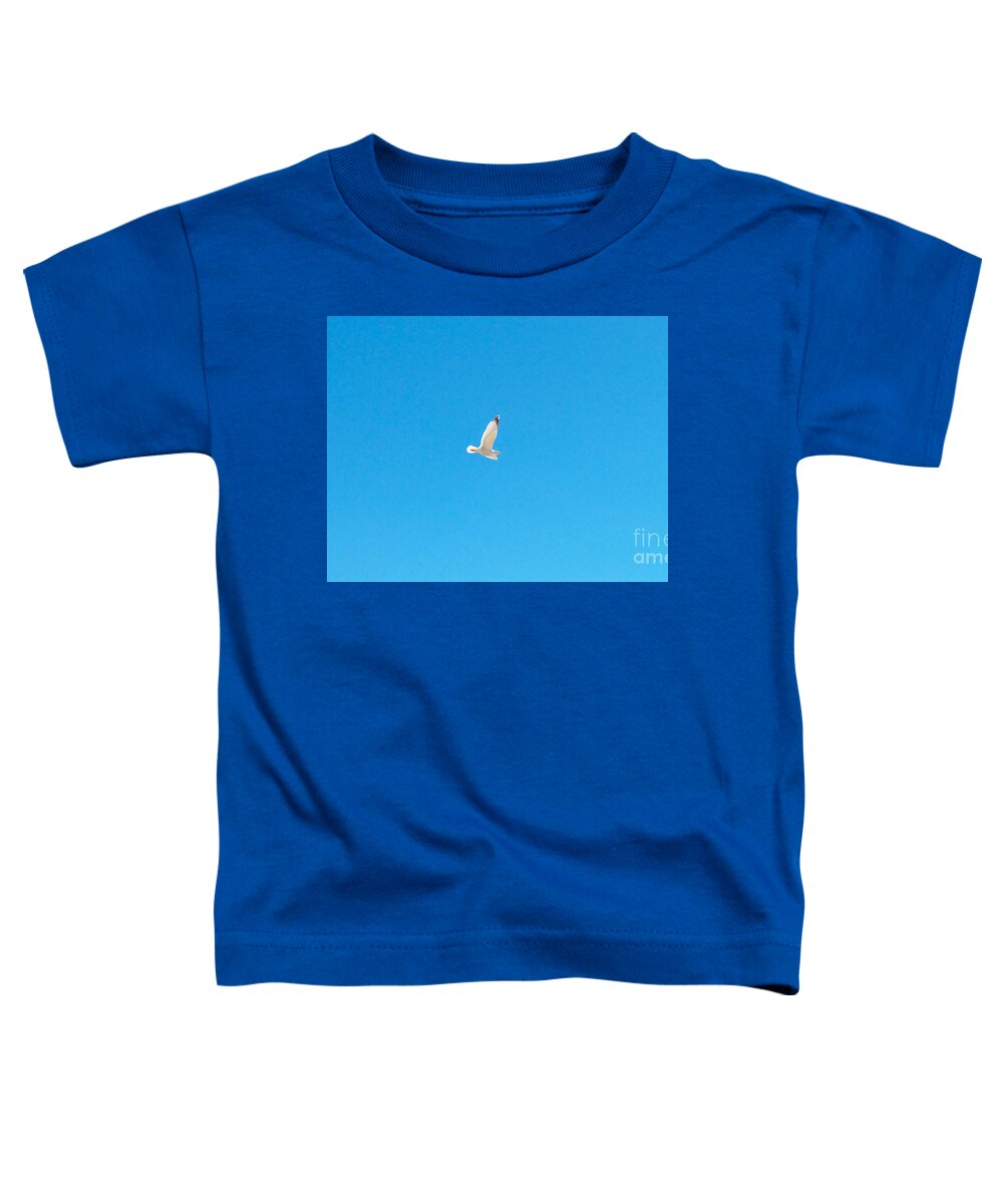 Photography Toddler T-Shirt featuring the photograph Gliding Seagull by Francesca Mackenney