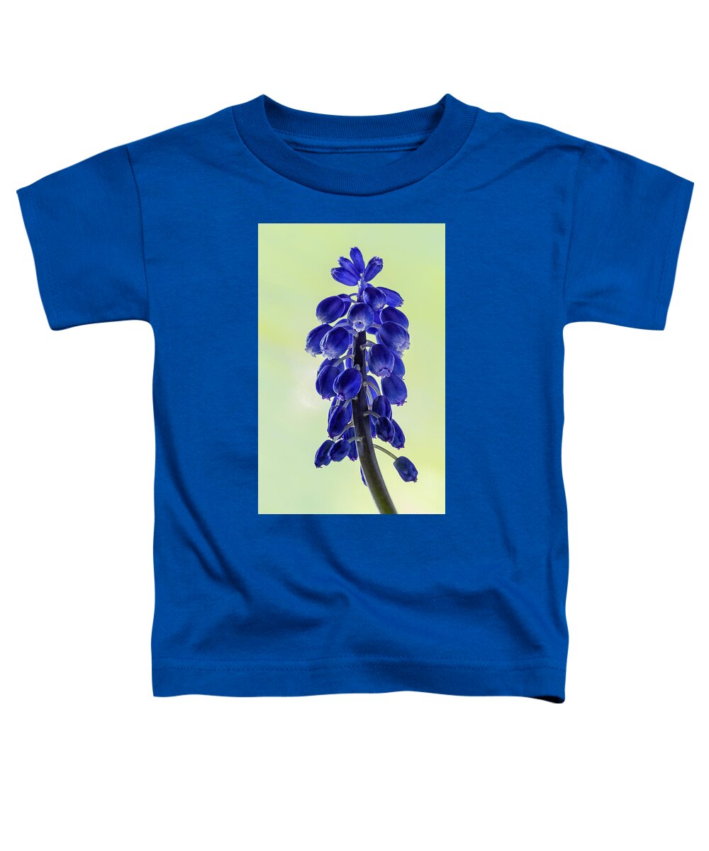Flower Toddler T-Shirt featuring the photograph Grape Hyacinth by Shirley Mitchell