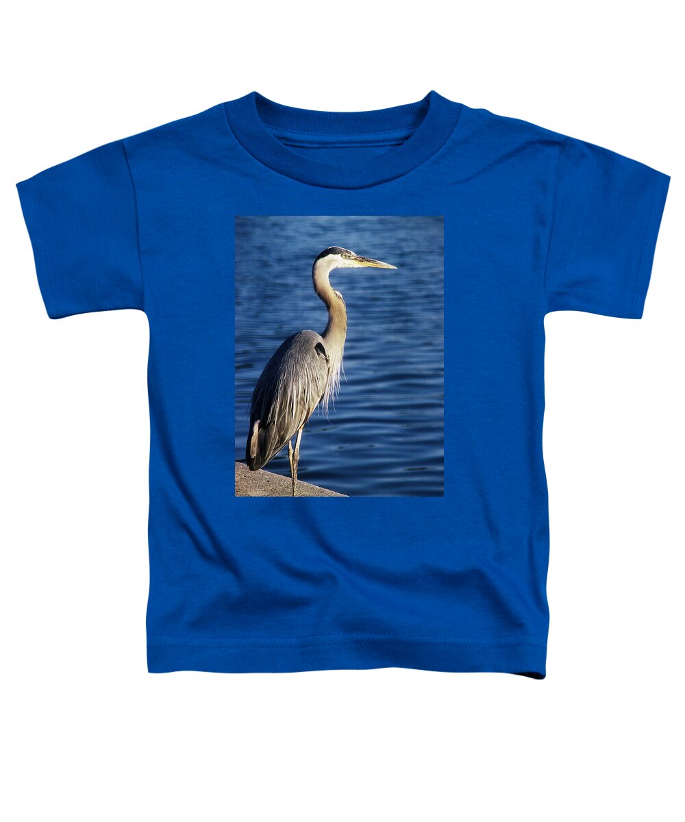 Great Blue Heron Toddler T-Shirt featuring the photograph Great Blue Heron At Put-in-Bay by Terri Harper