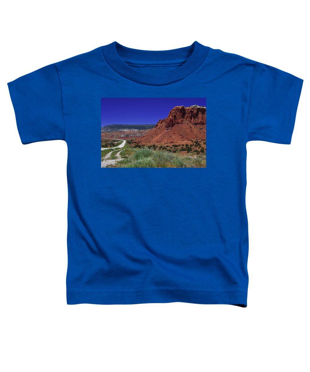 New Mexico Toddler T-Shirt featuring the photograph High Desert by Renee Hardison