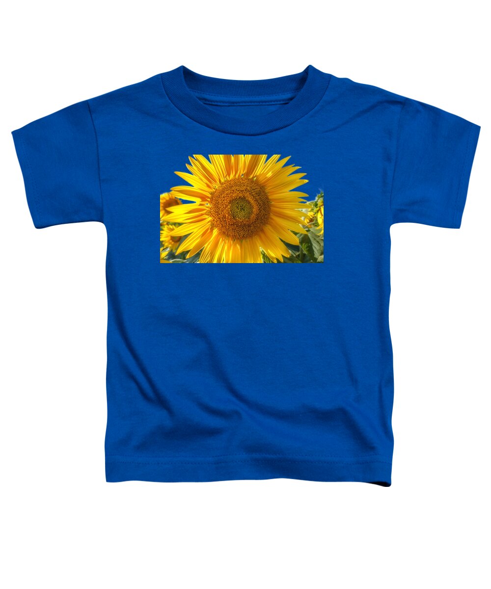 Colby Farm Toddler T-Shirt featuring the photograph In Your Face Sunny by Sylvia J Zarco