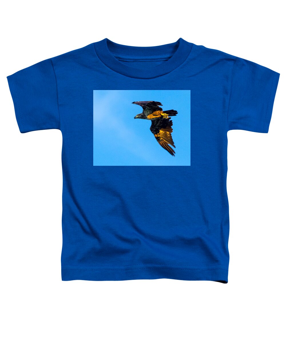 06sep15 Toddler T-Shirt featuring the photograph Juvenile Bald Eagle Talons by Jeff at JSJ Photography