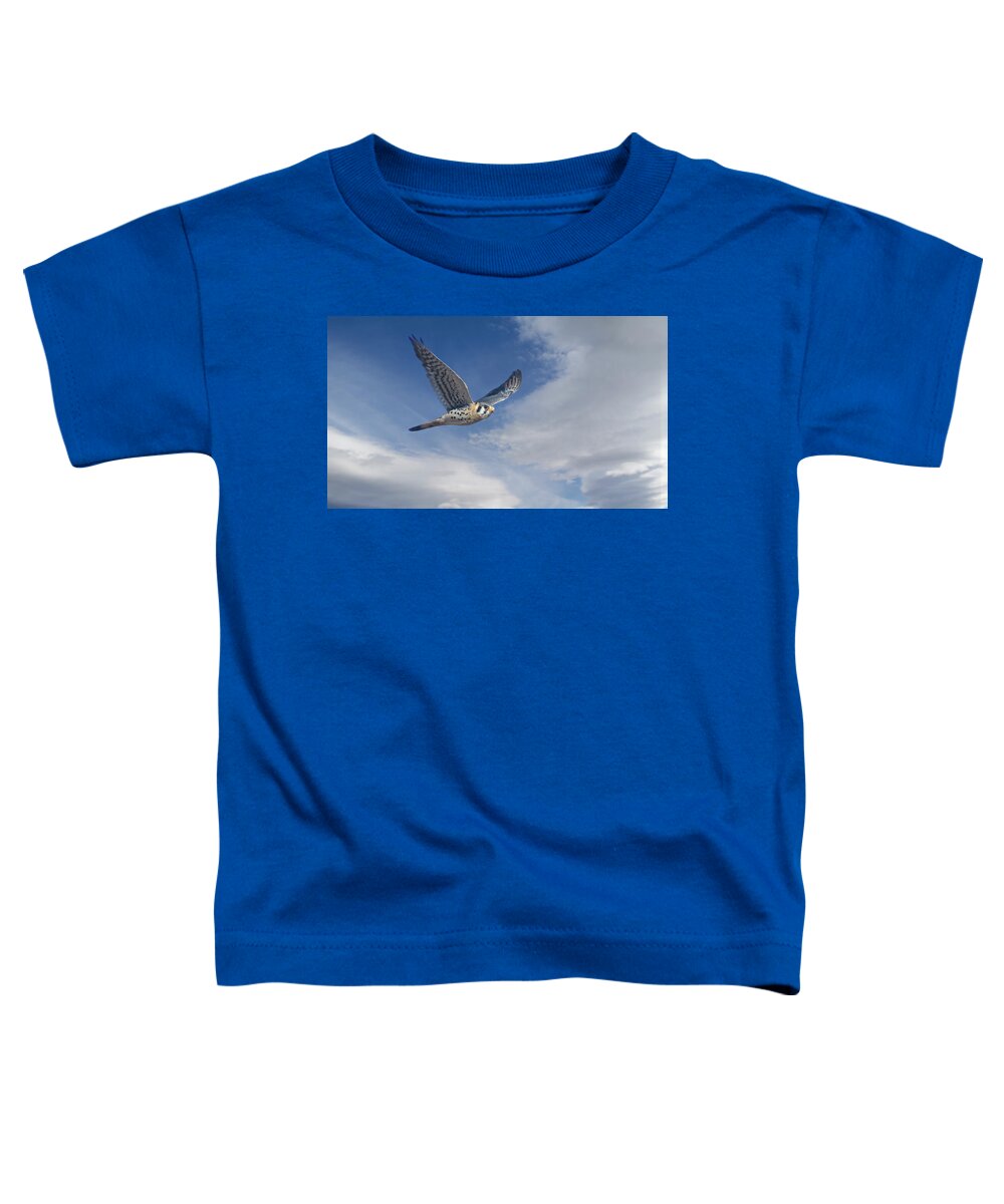 Kestrel Toddler T-Shirt featuring the photograph Kestrel in Flight by Rick Mosher