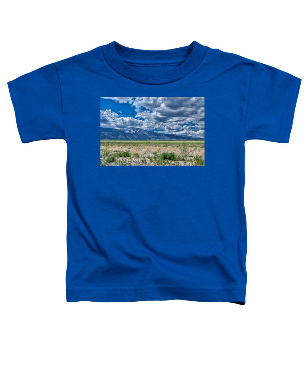 Landscape Toddler T-Shirt featuring the photograph Landscape of Dried Out Lakebed, Strong Horizon, Mountains and Dramatic Sky by Brian Ball