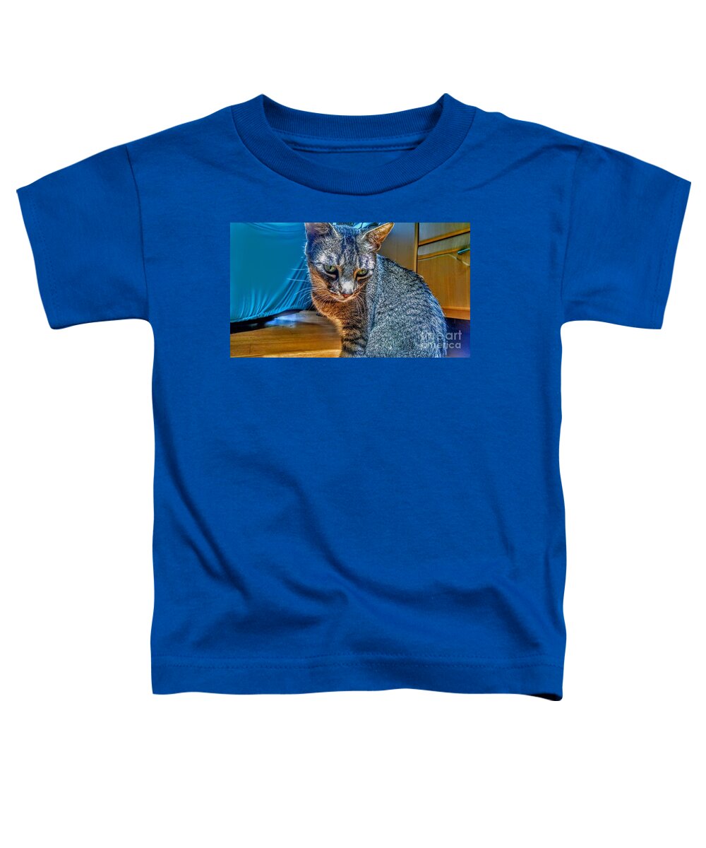 Cat Toddler T-Shirt featuring the photograph Le Chat Bleu by Christopher Lotito