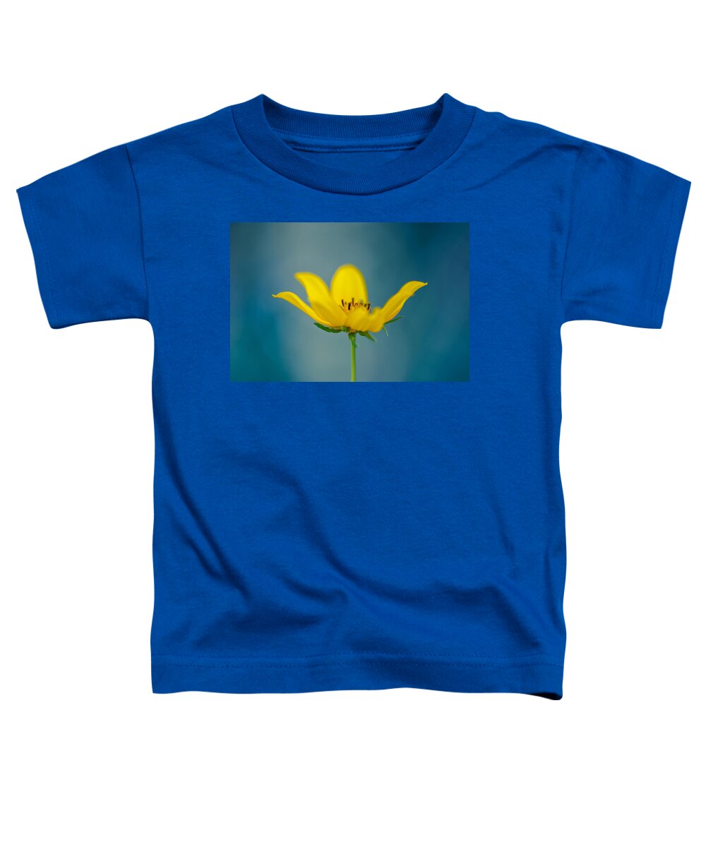 Yellow Flower Toddler T-Shirt featuring the photograph Lemon Yellow Sun by Shane Holsclaw