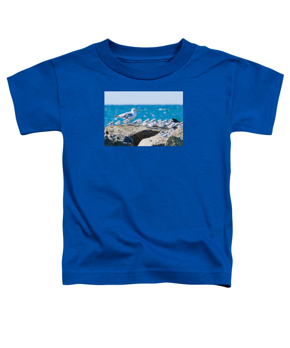 Bird Toddler T-Shirt featuring the photograph Let Me Show You How Its Done by Jeff at JSJ Photography