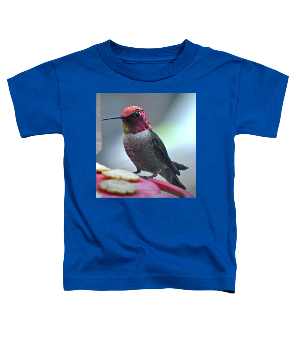 Animal Toddler T-Shirt featuring the photograph Male Anna's Hummingbird On Feeder Perch by Jay Milo