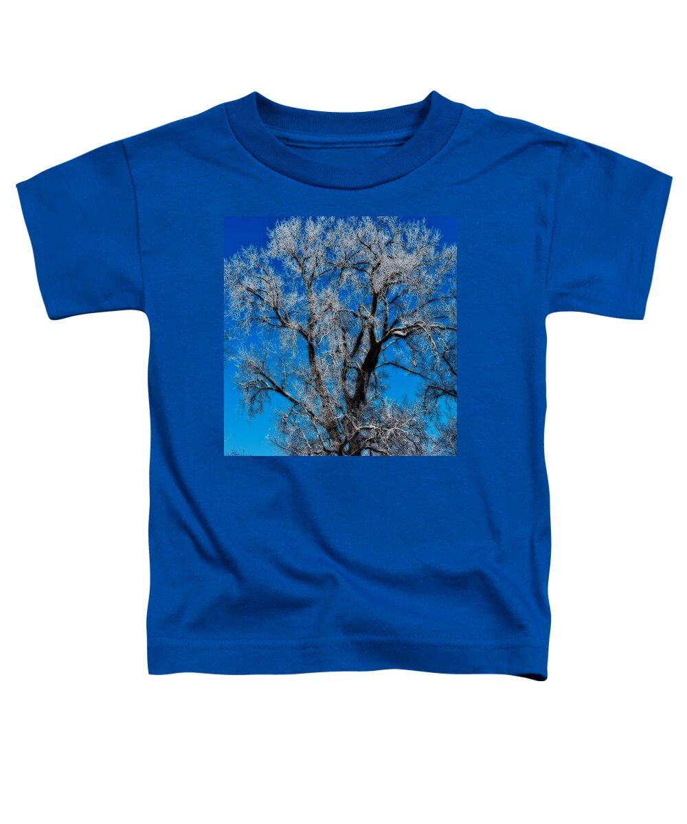 Standing Bear Lake Toddler T-Shirt featuring the photograph Natures Lace by Ed Peterson