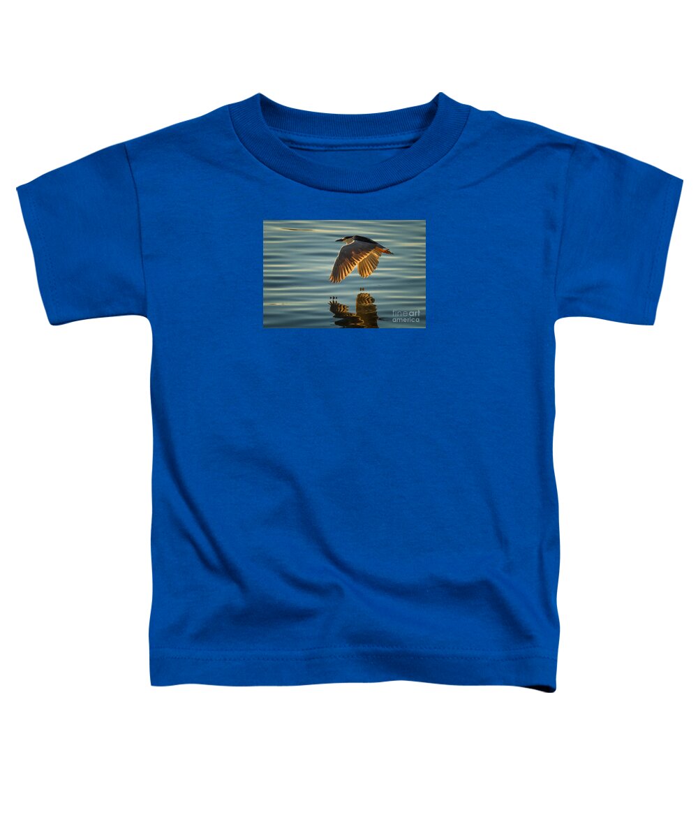 Animal Toddler T-Shirt featuring the photograph Night Heron Flight by Alice Cahill