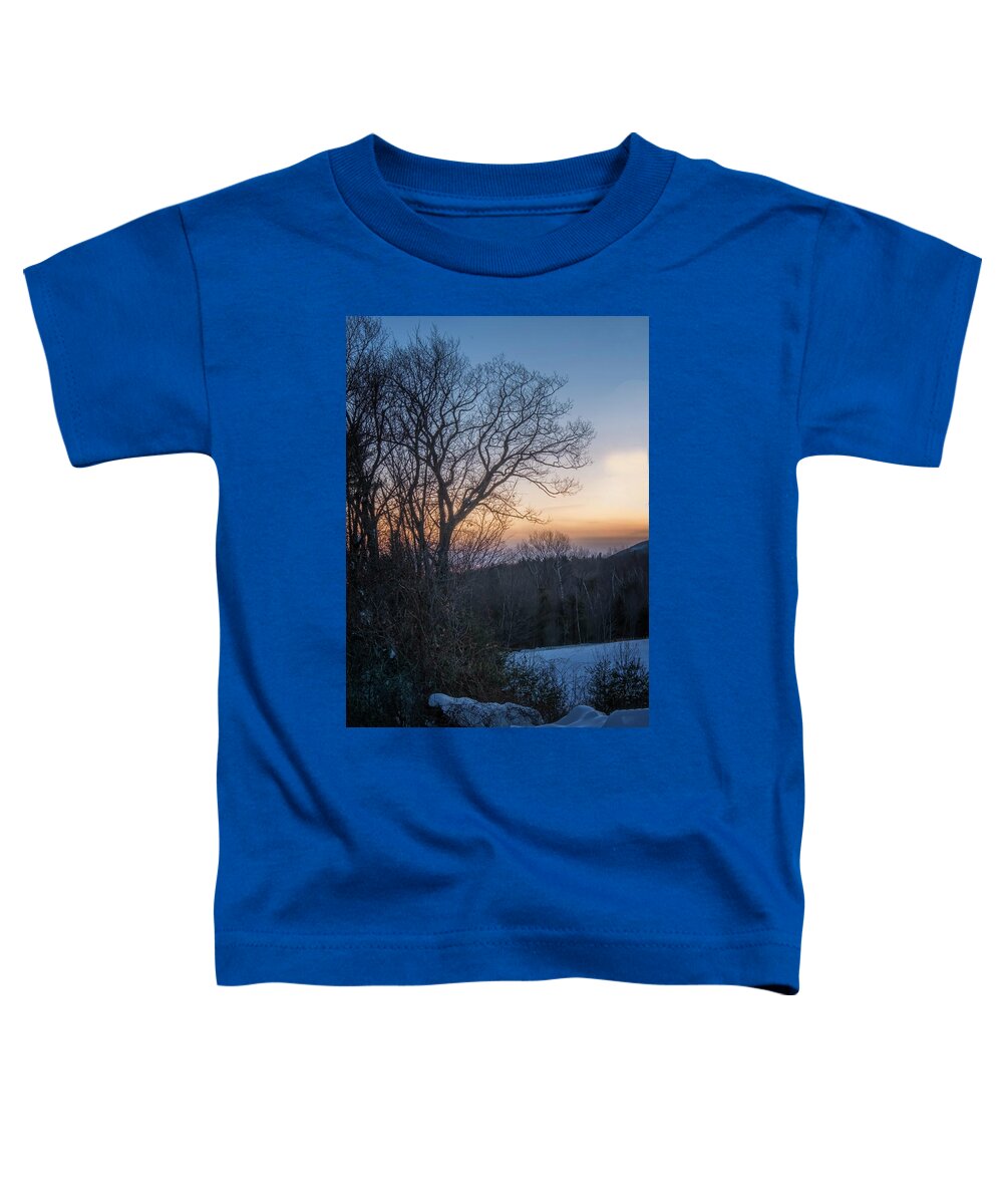 Dublin New Hampshire Toddler T-Shirt featuring the photograph Oak In Winter by Tom Singleton