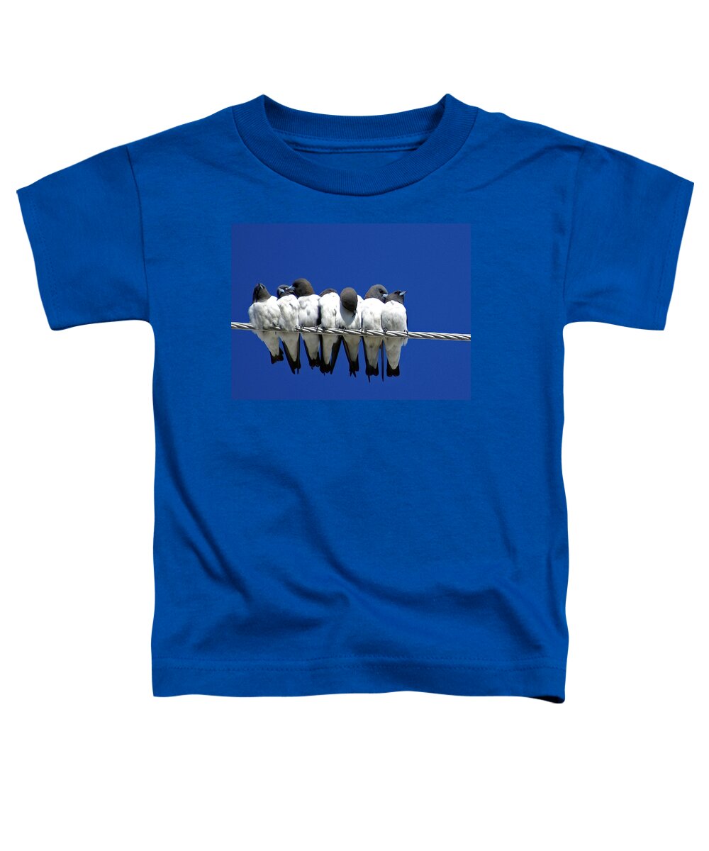 Animals Toddler T-Shirt featuring the photograph Seven Swallows Sitting by Holly Kempe