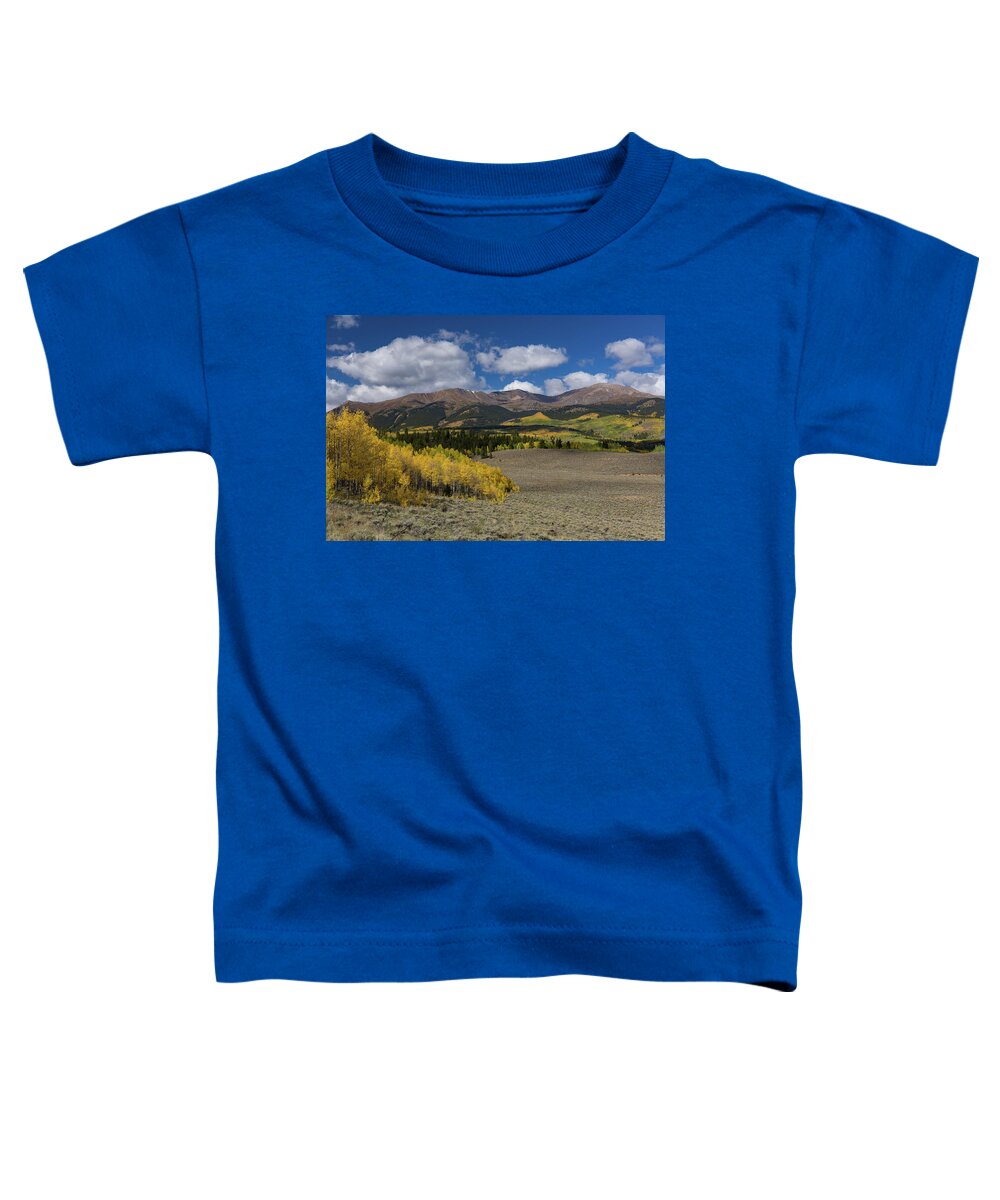 2017 Toddler T-Shirt featuring the photograph Summer Falls Into Autumn - Mt. Elbert, Colorado by Bridget Calip