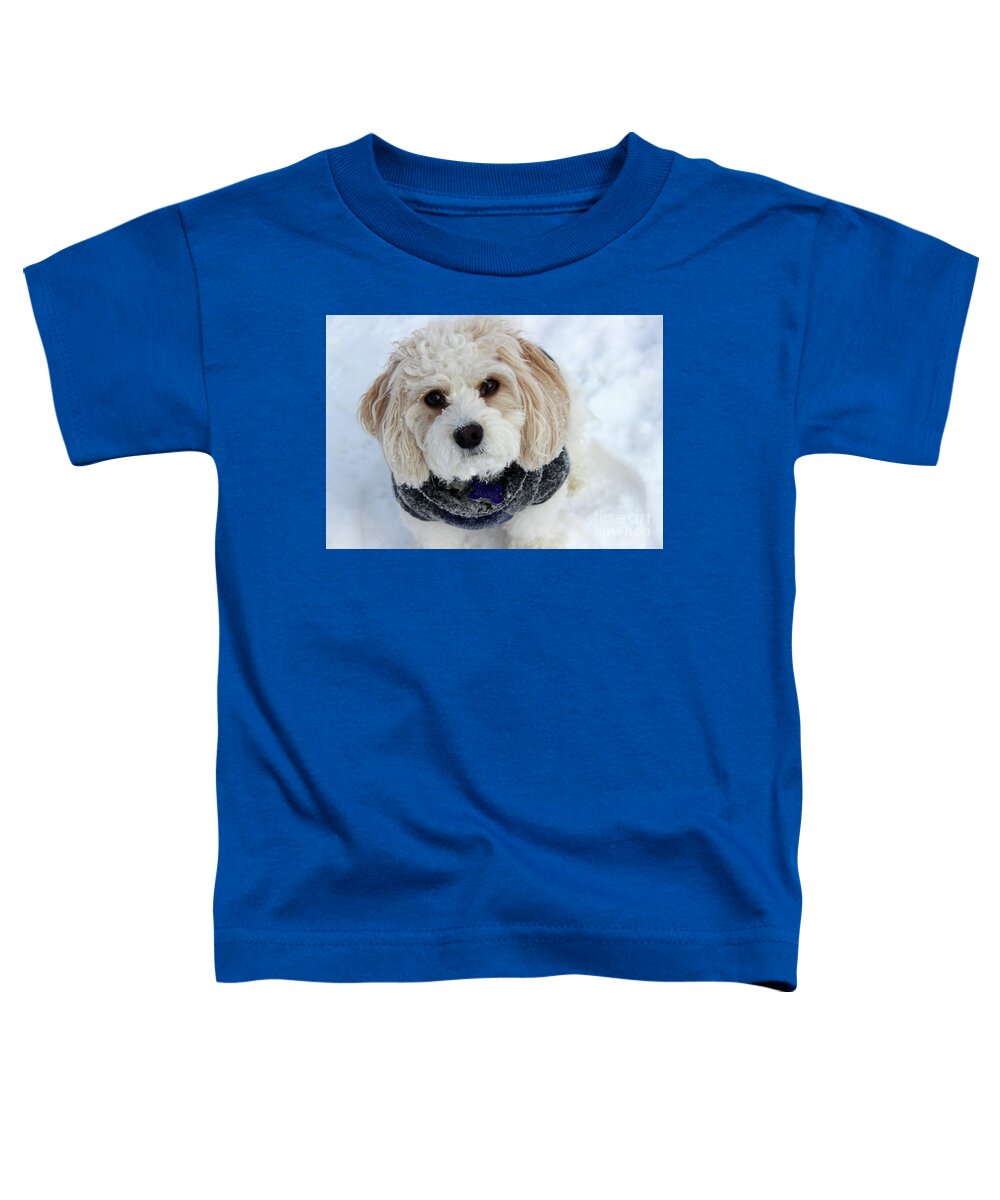 Puppy Toddler T-Shirt featuring the photograph Sunshine in the Snow by Karen Adams