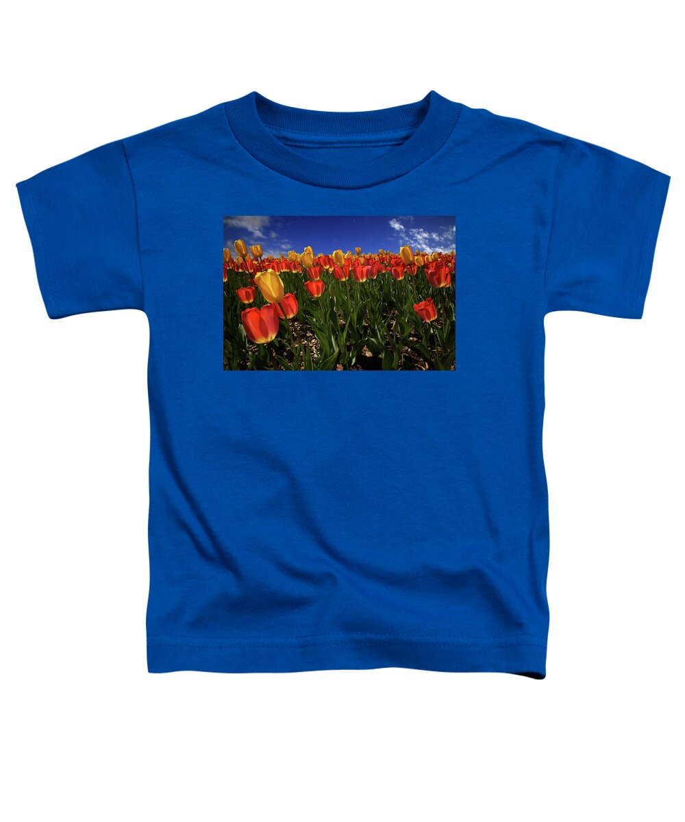 Flowers Toddler T-Shirt featuring the photograph Tulips party by Alberto Audisio