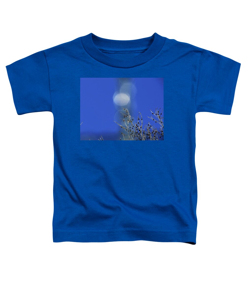 Sky Toddler T-Shirt featuring the digital art Winter Joy by Kathleen Illes