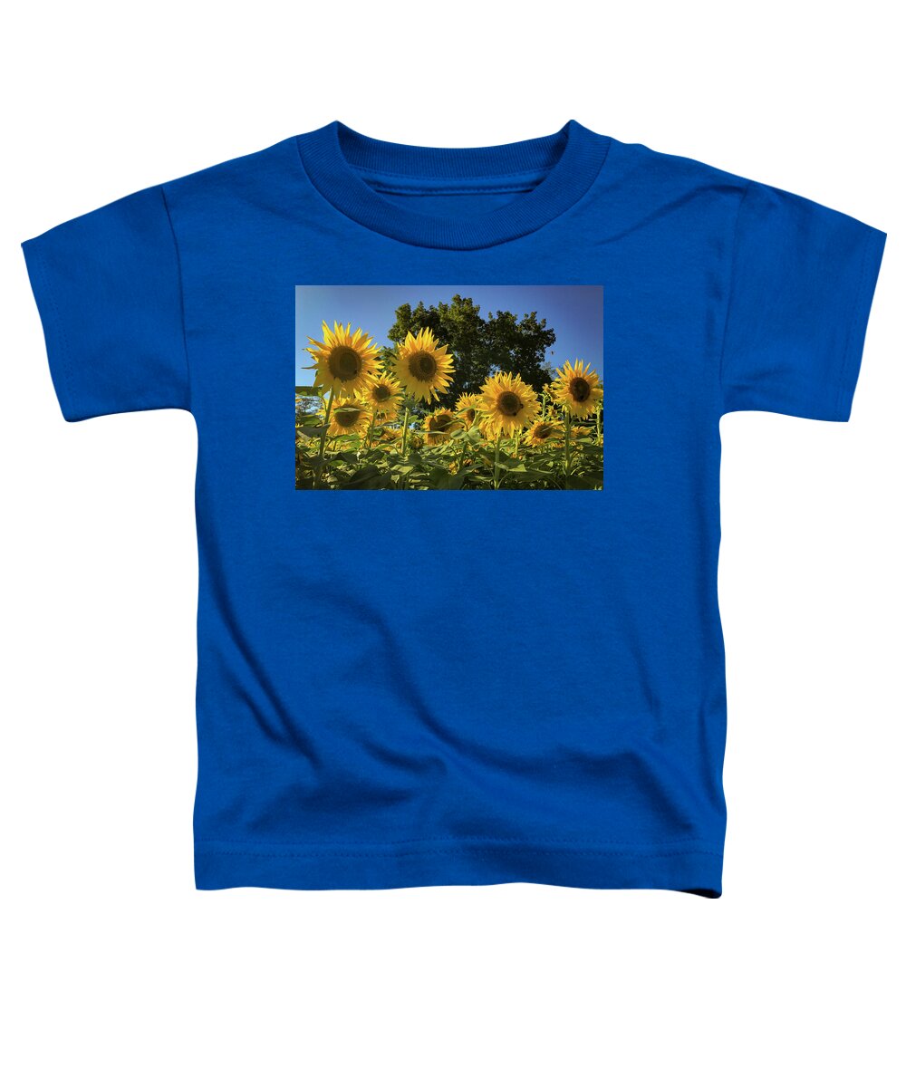 Sunflowers Toddler T-Shirt featuring the photograph Sunlit Sunflowers #1 by Lora J Wilson