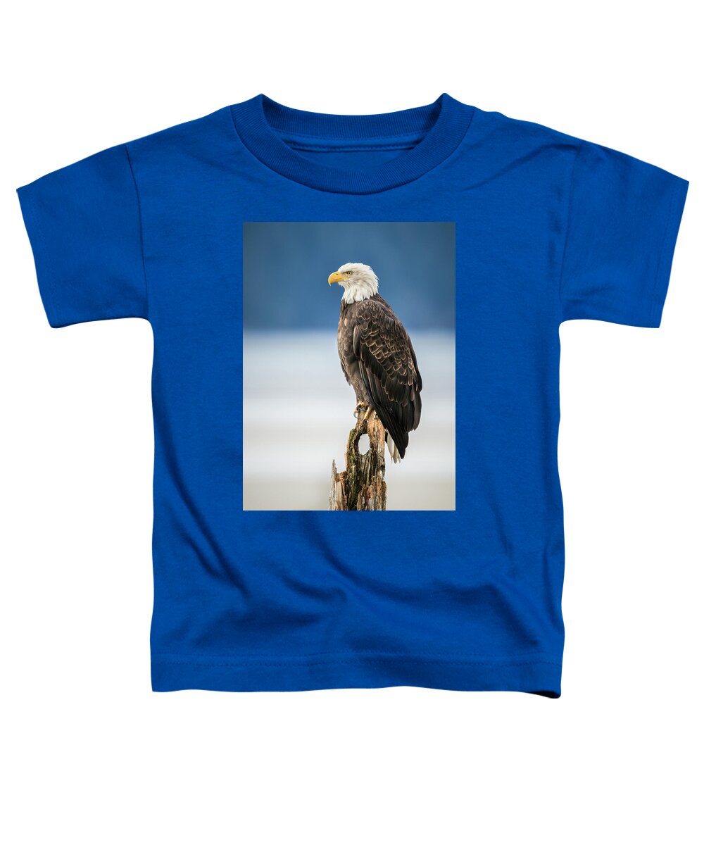 Alaska Toddler T-Shirt featuring the photograph Bald Eagle on Snag by James Capo
