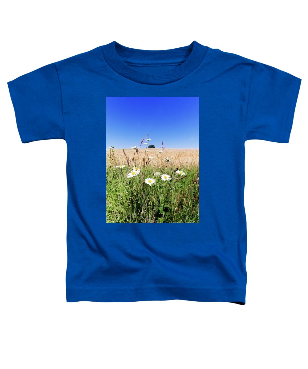 Field Toddler T-Shirt featuring the photograph Cornflower Blue Summer by Terri Waters