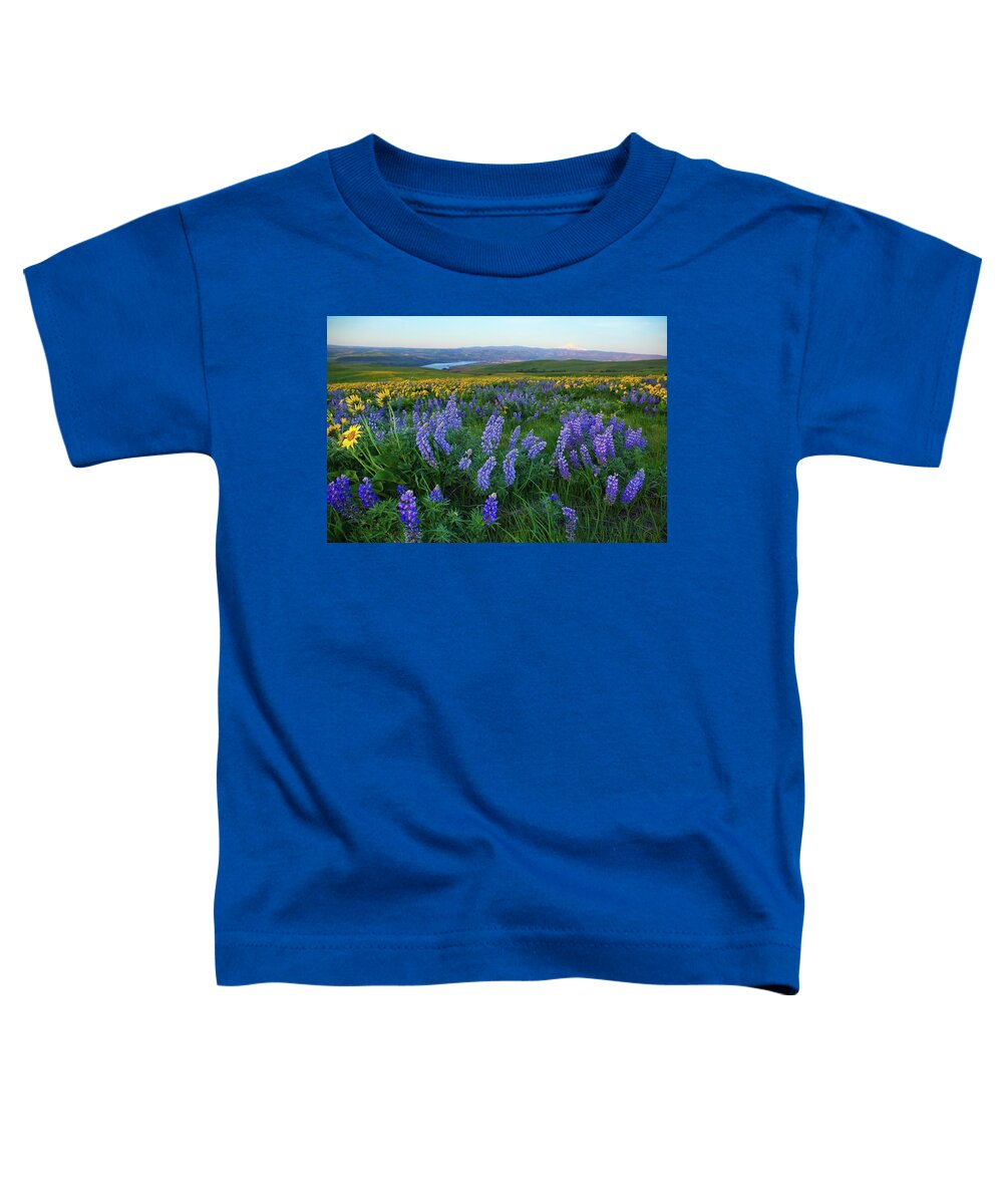 Lupines At Sunrise Toddler T-Shirt featuring the photograph Lupines at sunrise by Lynn Hopwood
