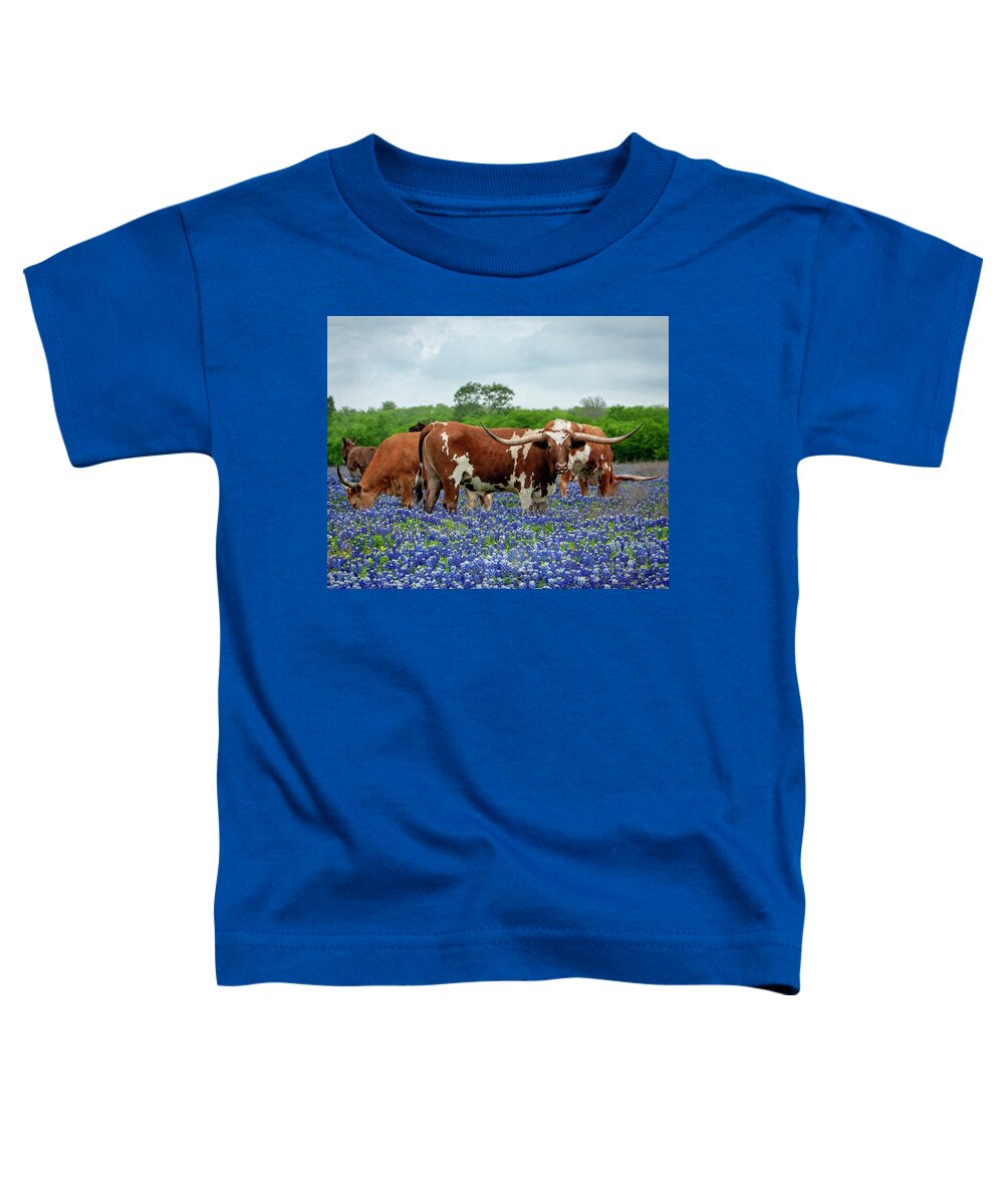 Longhorn Toddler T-Shirt featuring the photograph Mr. T and the Crew by Linda Lee Hall