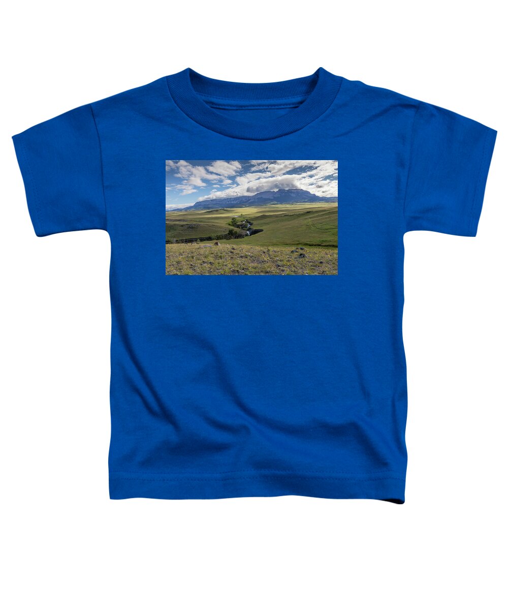 Sun River Wildlife Management Area Toddler T-Shirt featuring the photograph Sun River Wildlife Management Area 2014 by Thomas Young